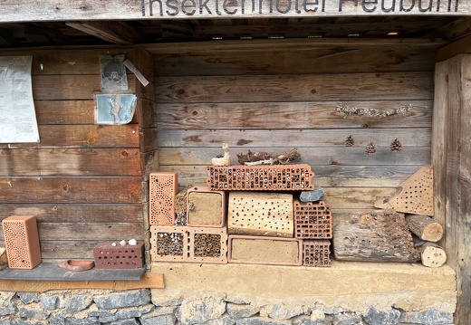 20220325073942-e537d1aa